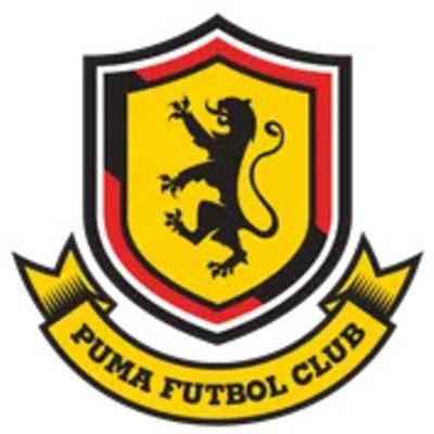 PUMA FC Manhattan, Inc. - 2024